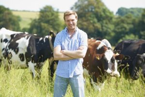 Start a Lucrative Business by Buying a Cattle Ranch for Sale