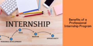 Professional Internship Program