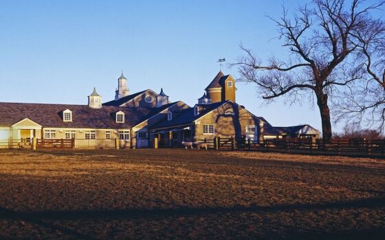 Hillandale Farms Pennsylvania- Donations To The Homeless To Help Them Live With Dignity Hillandale Farms Pennsylvania- Donations To The Homeless To Help Them Live With Dignity
